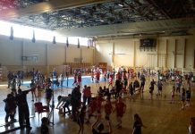Odbojka: Pet stotina odbojkašica na Osmomartovskom festivalu